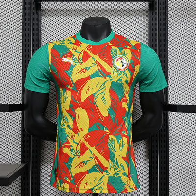 Senegal Pre-Match Jersey 24/25
