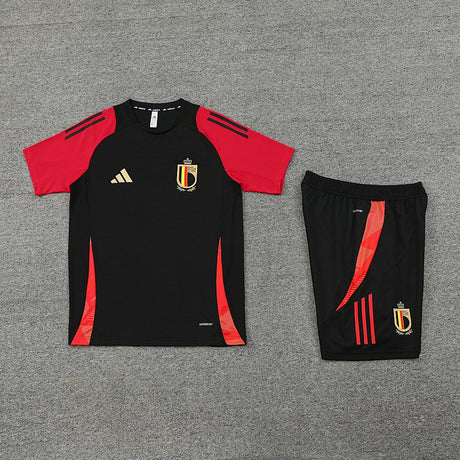 Ensemble Belgique Prématch 2024