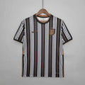 Maillot England Édition spéciale 25/26