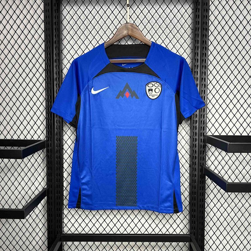 Maillot Slovenia UEFA Euro Domicile 25/26