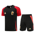 Ensemble Belgique Prématch 2024