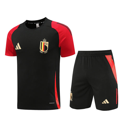 Ensemble Belgique Prématch 2024
