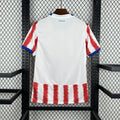 Maillot Paraguay Domicile Coupe du Monde 2026
