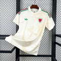 Camiseta Pays de Galles Visitante Copa del Mundo 2026