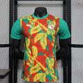 Maillot Ivory Coast Pre-Match 24/25