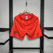 Bayern Munich Shorts 24/25