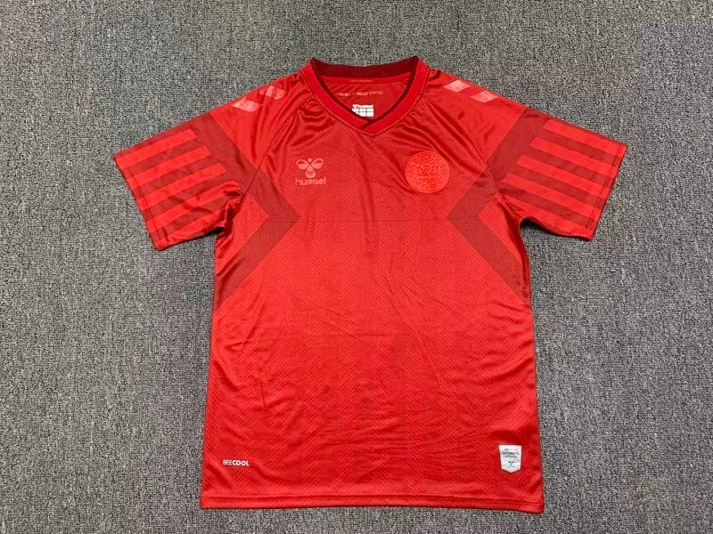 Maillot Denmark Domicile 25/26