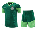 Ensemble Palmeiras Prématch 24/25 (3)