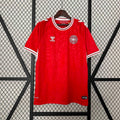 Maillot Danemark Domicile 25/26