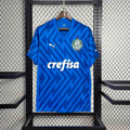 Maillot Palmeiras Gardien 24/25