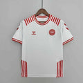 Maillot Denmark Hummel x 25/26