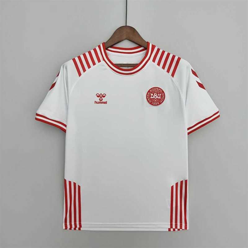 Maillot Denmark Hummel x 25/26