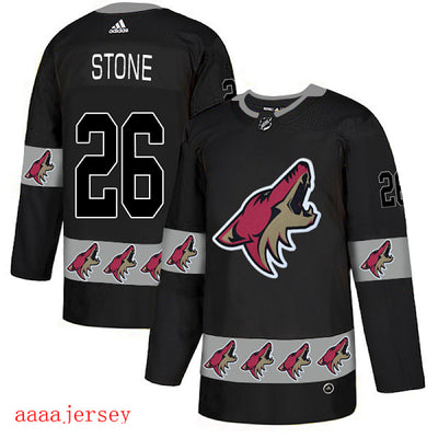 Camiseta Arizona Coyotes ice 2019