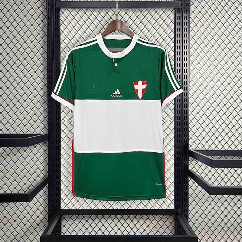 Maillot Palmeiras Rétro 2014