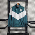 Survêtement Palmeiras Blanc Vert