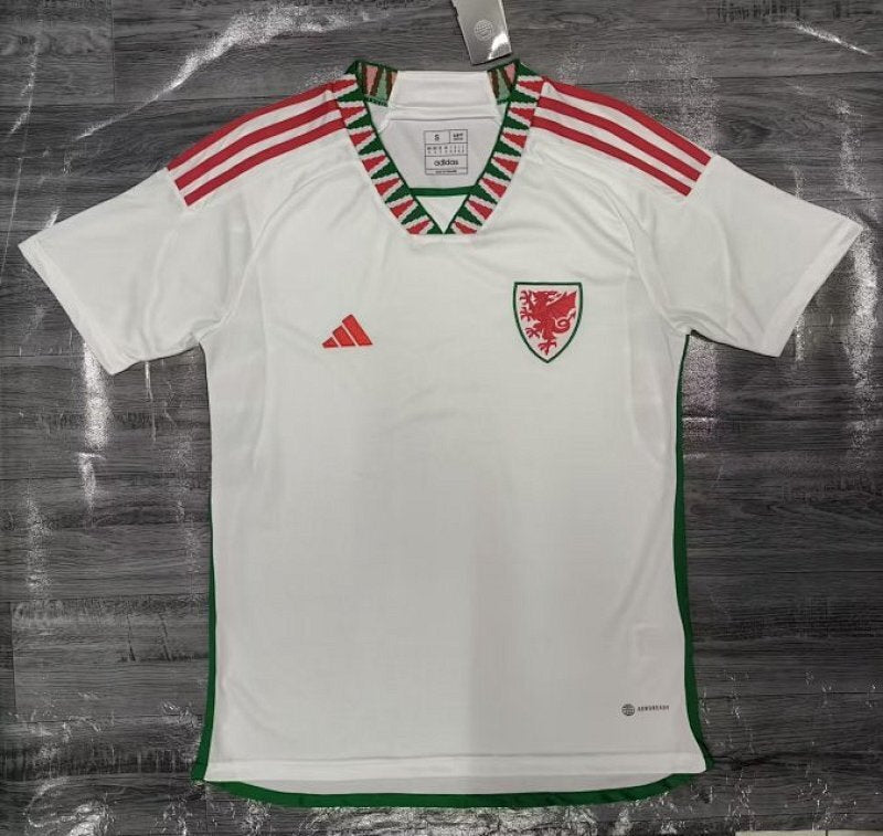 Pays de Galles Away Jersey 2022