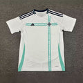 Maillot Northern Ireland Replicas Extérieur 25/26