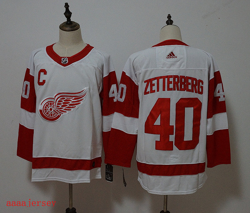 Detroit Wings ice Jersey