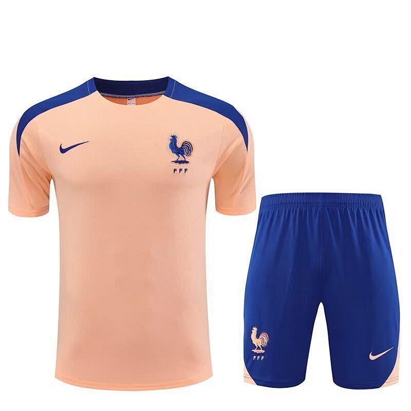 Survêtement France Gold Tracksuits 25/26