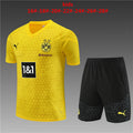 Ensemble Enfant Borussia Dortmund 23/24