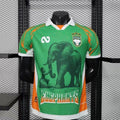 Maillot Ivory Coast Elephant Édition spéciale Player Version 25/26