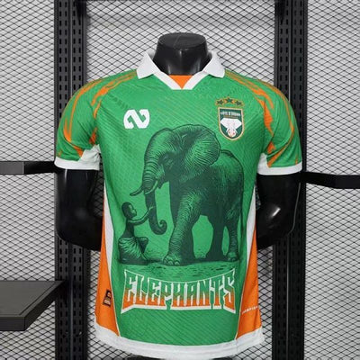 Maillot Côte d’Ivoire Elephant Édition spéciale Player Version 2025