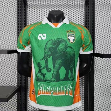 Maillot Côte d’Ivoire Elephant Édition spéciale Player Version 2025