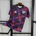 Maillot Lyon Pre-Match 25/26