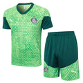Ensemble Palmeiras Prématch 24/25 (2)