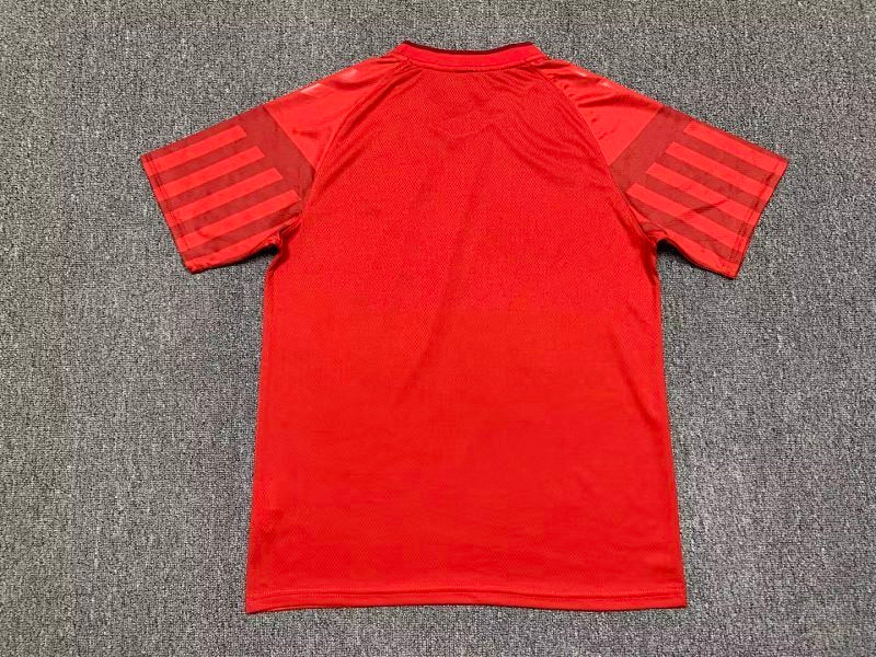 Maillot Denmark Domicile 25/26