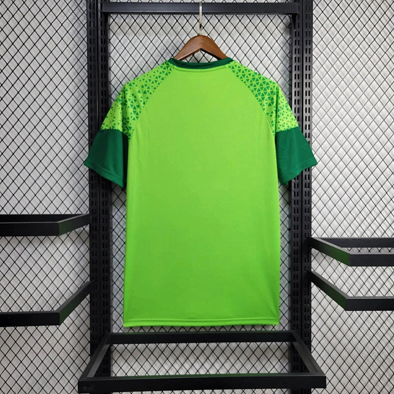 Palmeiras Pre-Match Jersey 24/25