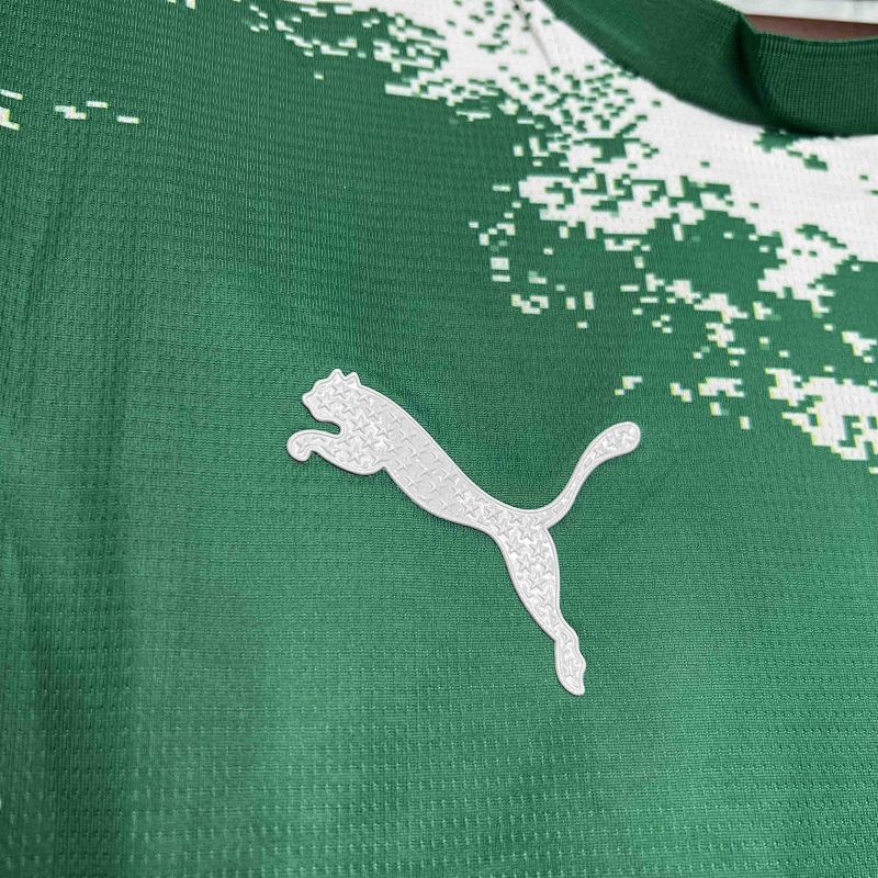 Palmeiras Special Edition Jersey 24/25