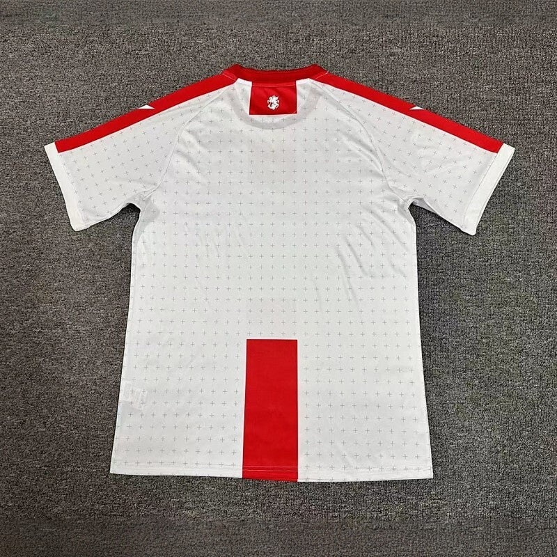 Géorgie UEFA Euro Home Jersey 2024