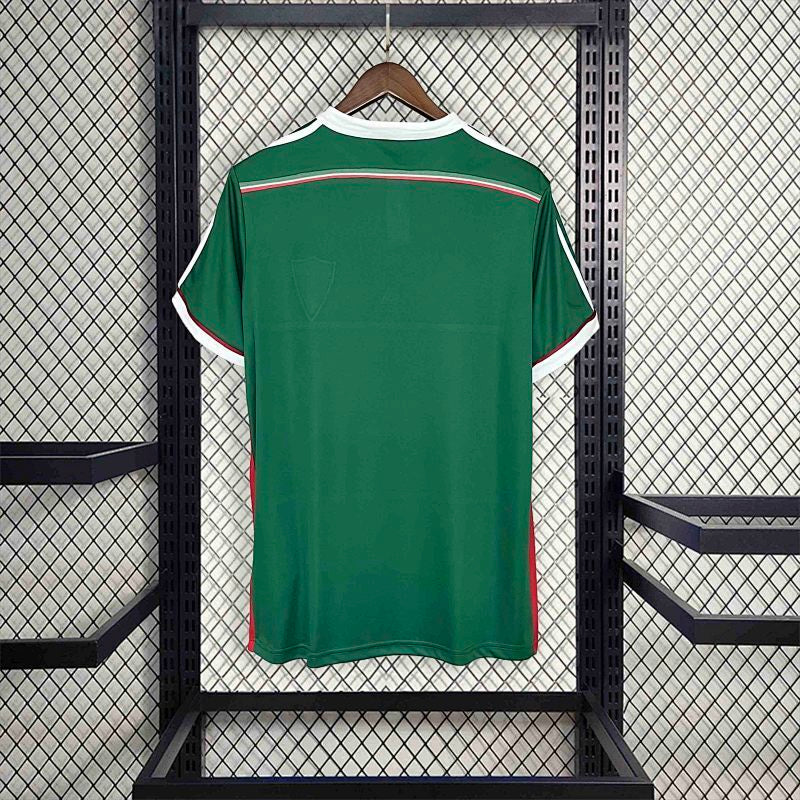 Palmeiras Retro Jersey 2014