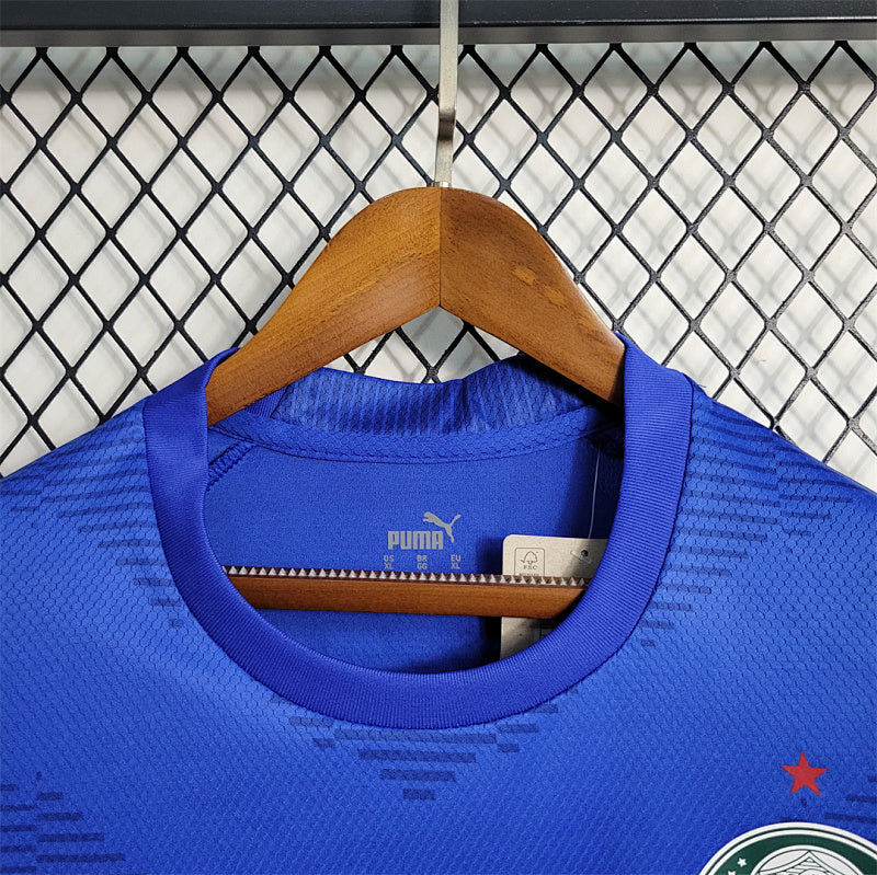 Maillot Palmeiras Gardien 23/24