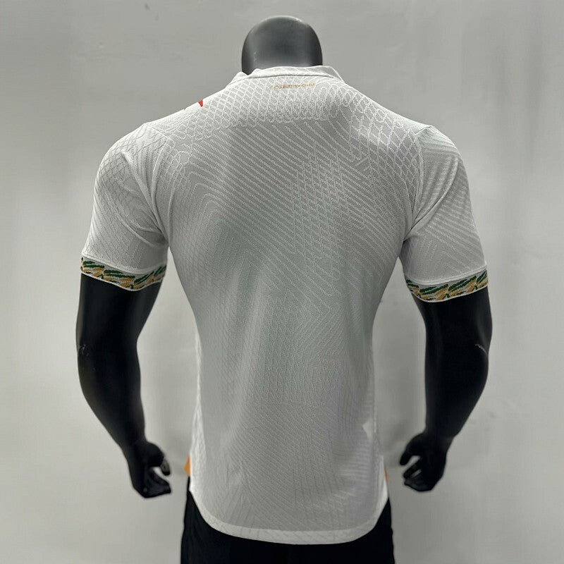 Maillot Ivory Coast Édition spéciale Player Version 25/26