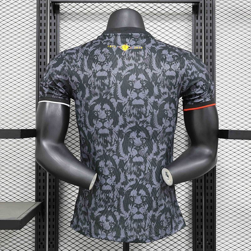 Maillot Angleterre Grey Lion Édition spéciale Player Version 25/26