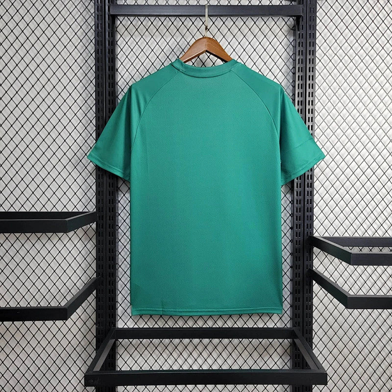Maillot Palmeiras Prématch 24/25