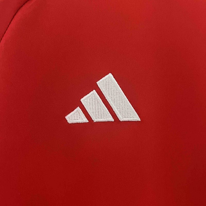 Maillot Wales Domicile 25/26