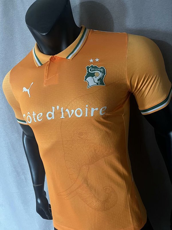 Maillot Ivory Coast Pure Player Version 25/26