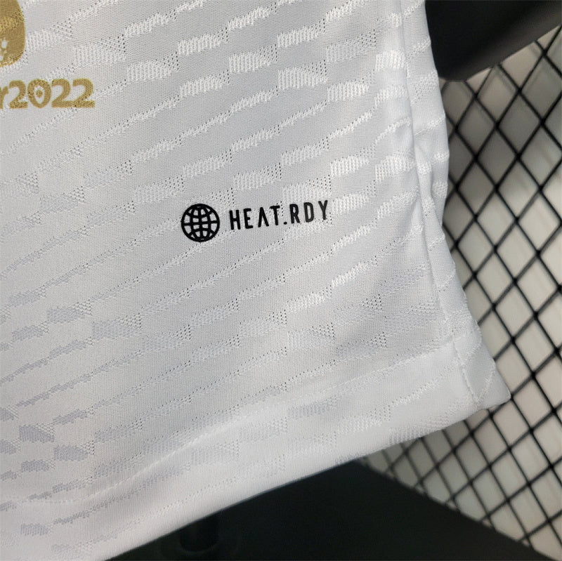 Camiseta Argentina Versión Player 2023 (3)