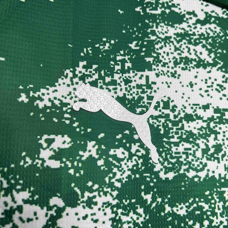 Maillot Palmeiras Édition spéciale 24/25