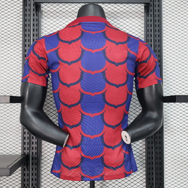 Maillot FC Barcelone Édition spéciale Player Version 24/25 (3)
