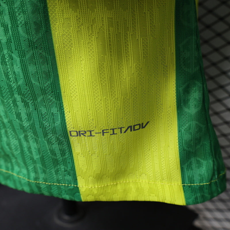 Maillot Brésil Rio Majesty Édition spéciale Player Version 25/26