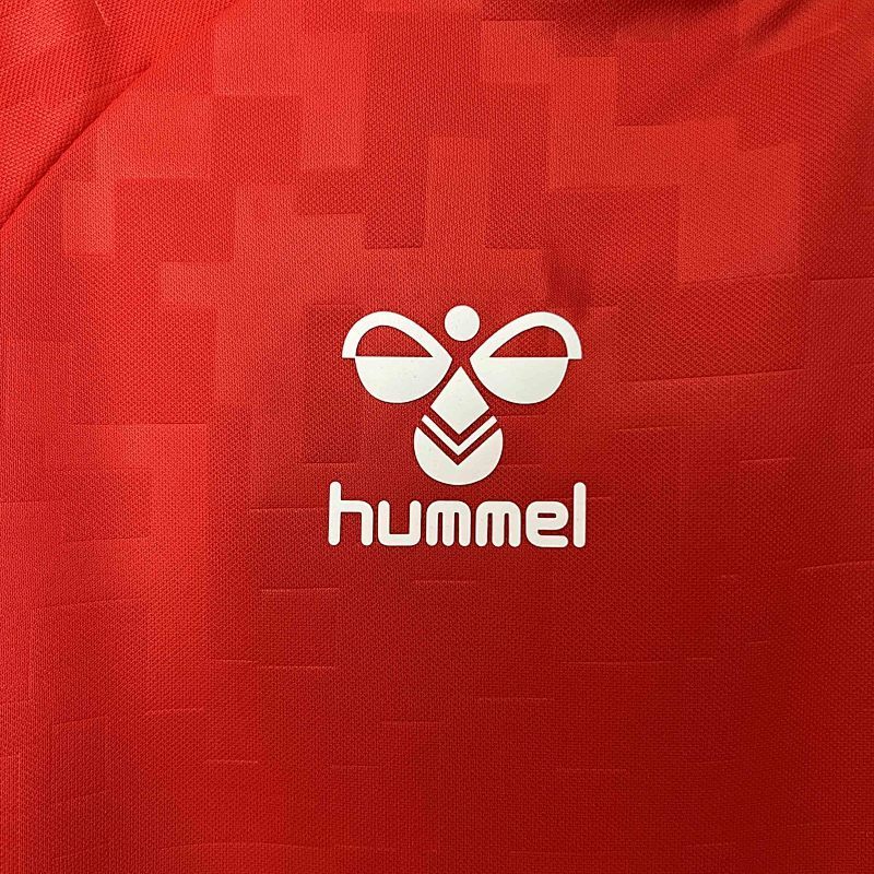 Maillot Danemark Domicile 25/26