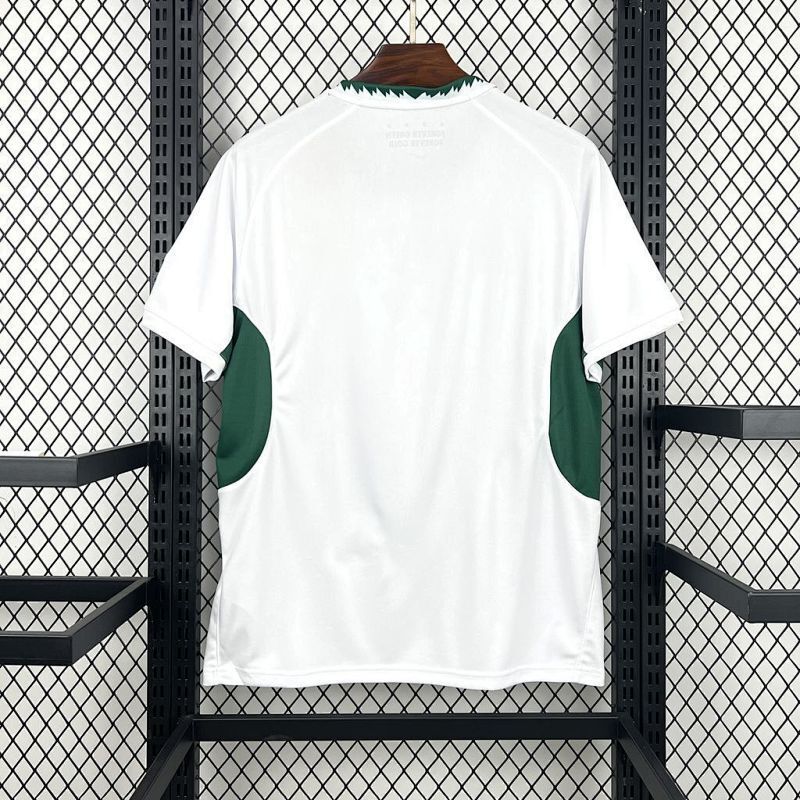 Maillot South Africa Springbok Extérieur 25/26