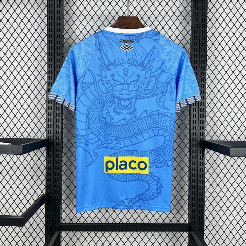 Maillot Santos Dragon Bleu Édition spéciale 25/26