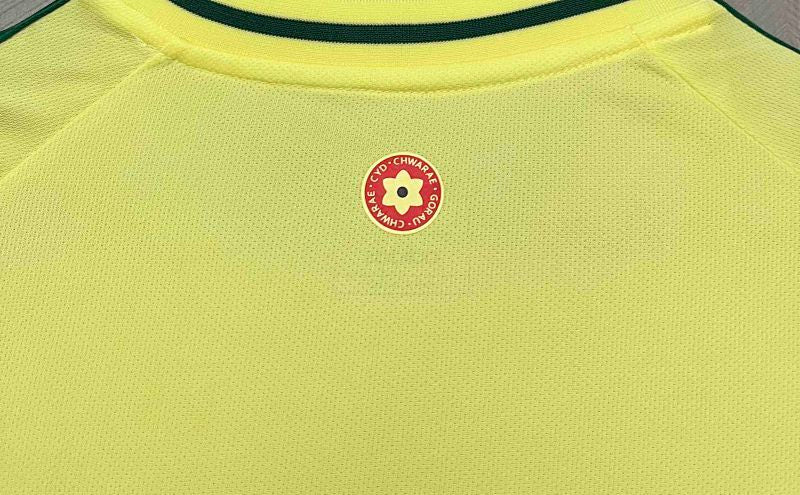 Maillot Wales Extérieur 25/26