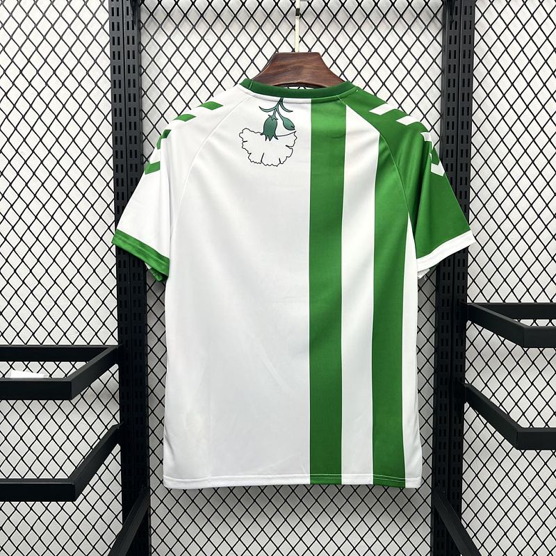 Maillot Real Betis Édition spéciale Prématch 25/26