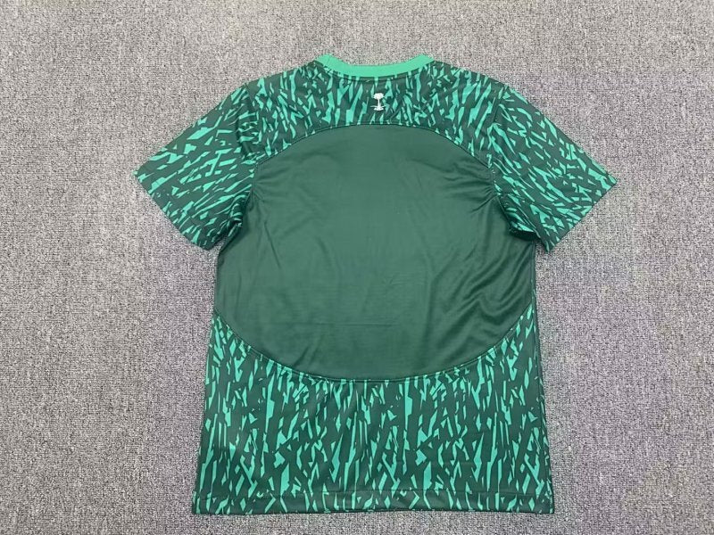 Maillot Saudi Arabia Extérieur 25/26